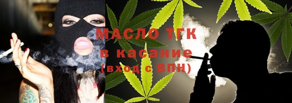 гидра Бородино