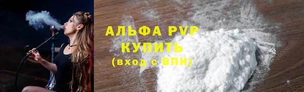 гашик Богданович