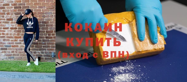 гидра Бородино