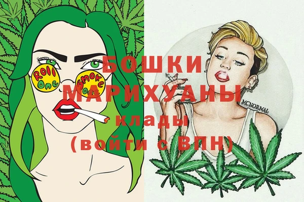 гашик Богданович