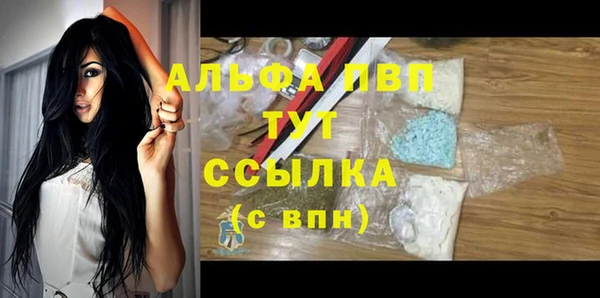 гидра Бородино